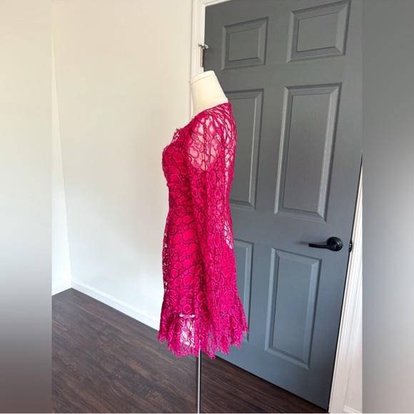 Frederick Anderson Rebirth Lace Bell Sleeve Minidress - Picture 5 of 8